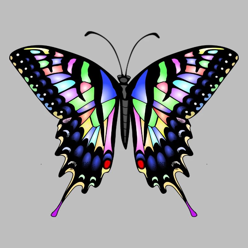 Dovetail Butterfly