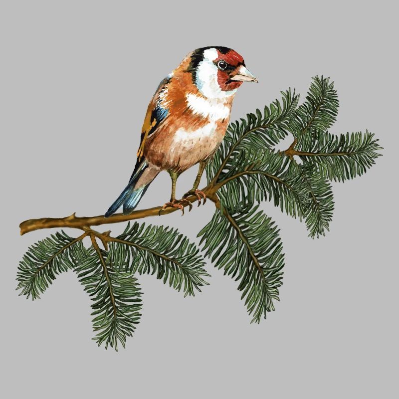 Bunter Vogel