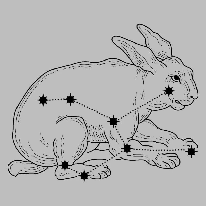 Constellation