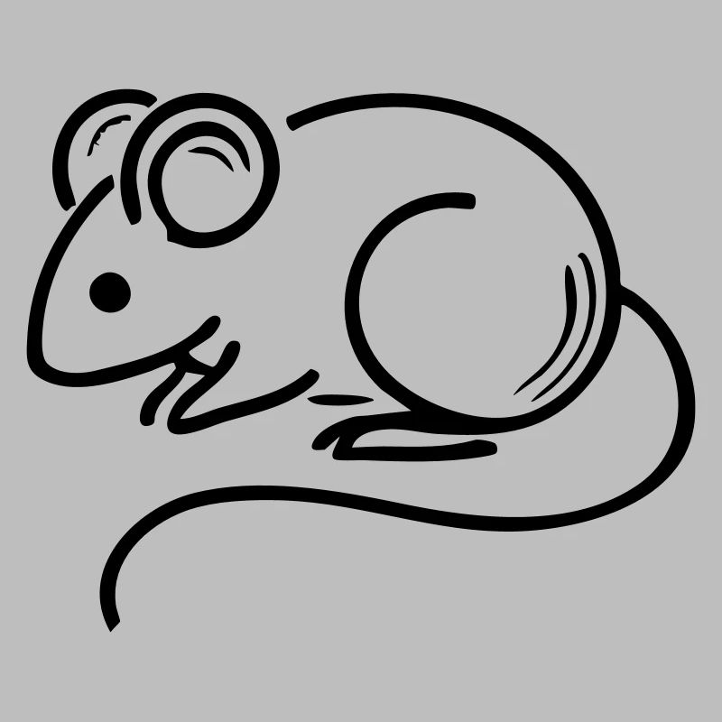 Souris