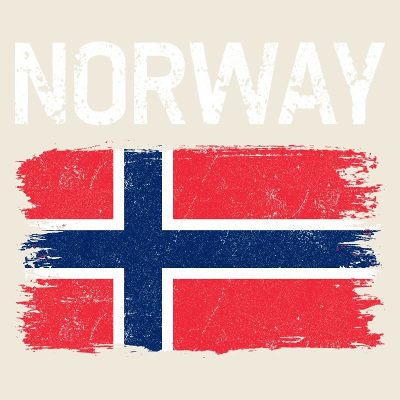 Texture du pinceau du drapeau de Norvège