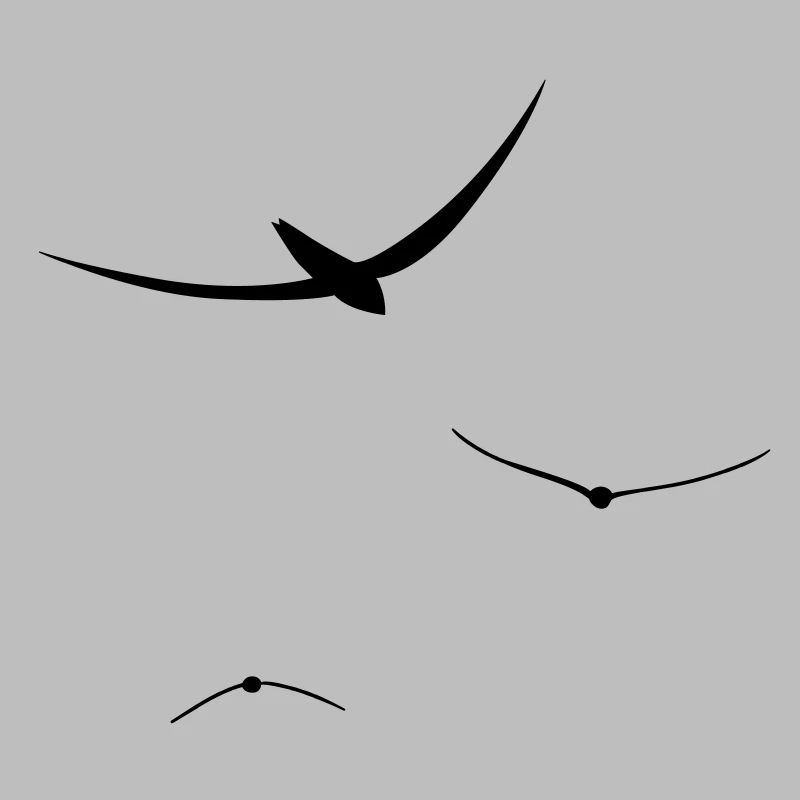 oiseaux vol libre