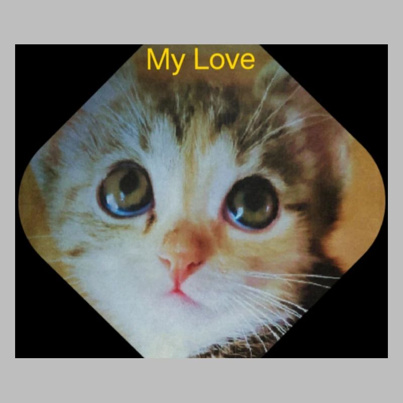 My Design