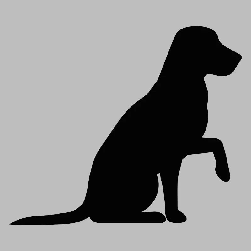 Hund