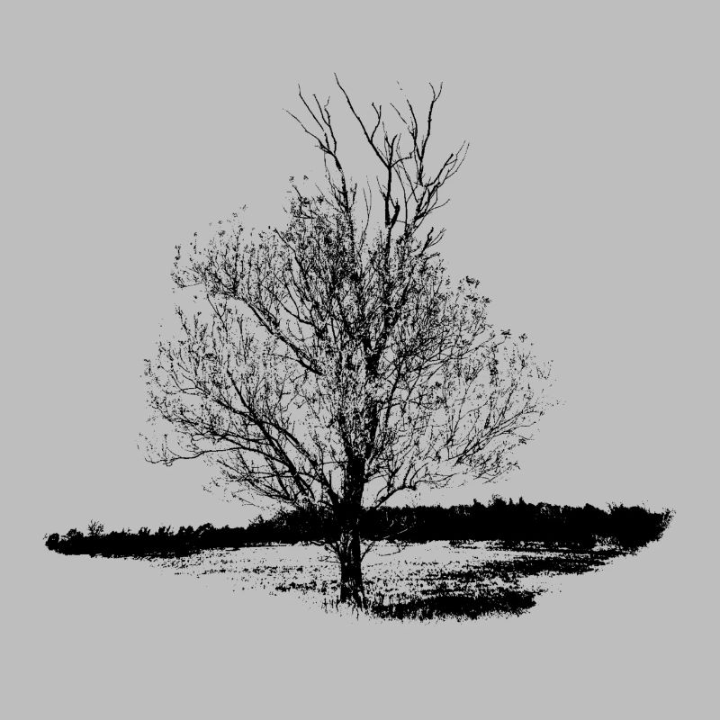 Baum #001