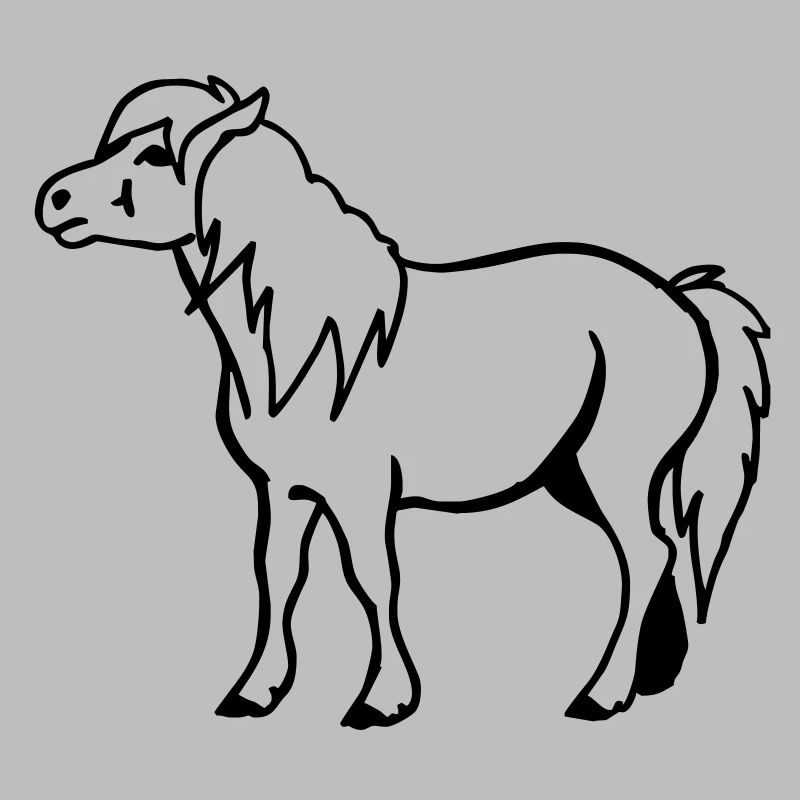 Pony horse