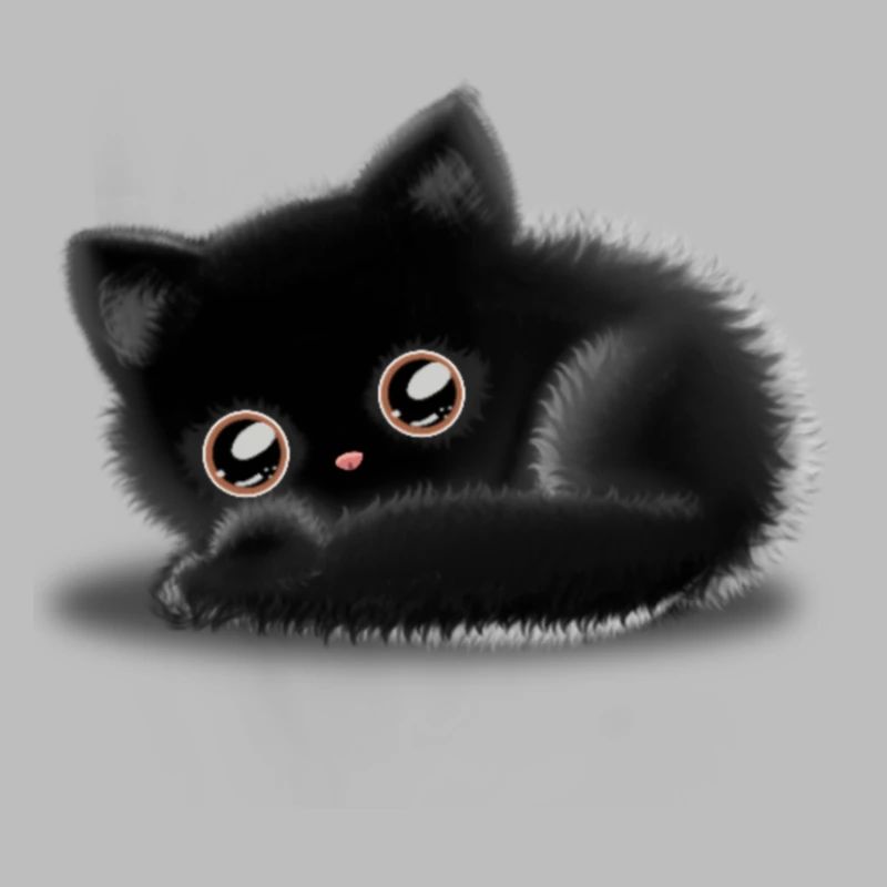 Chat noir 🐈 ⬛