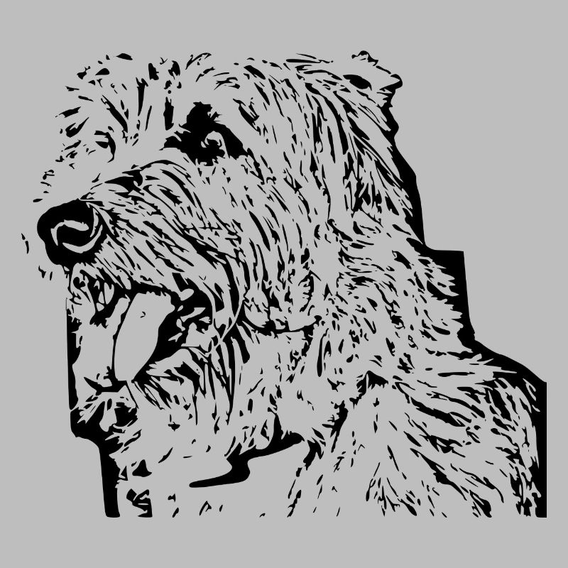 Hund