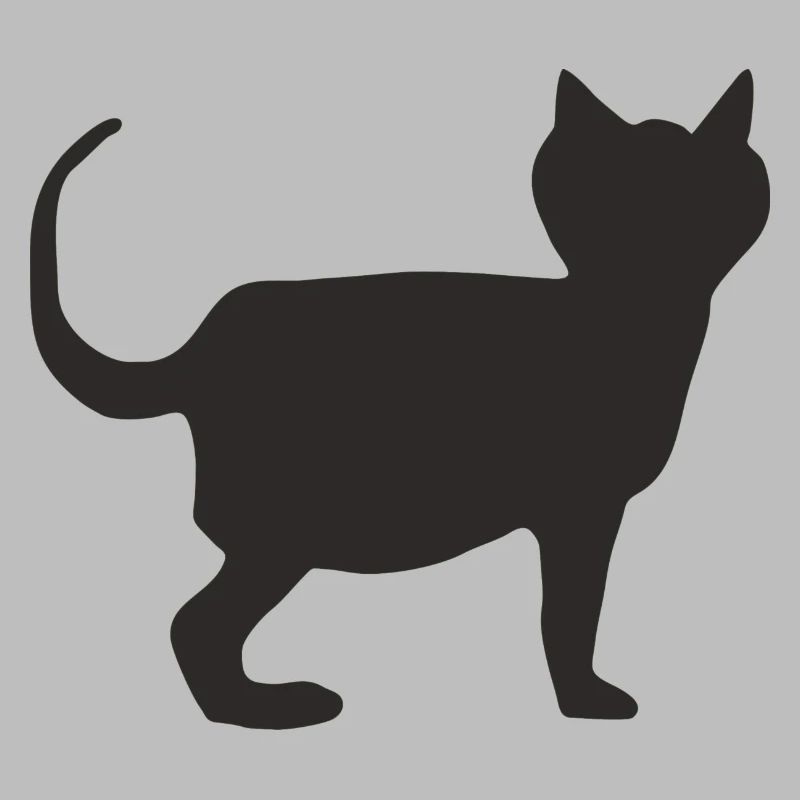 Chat Noir