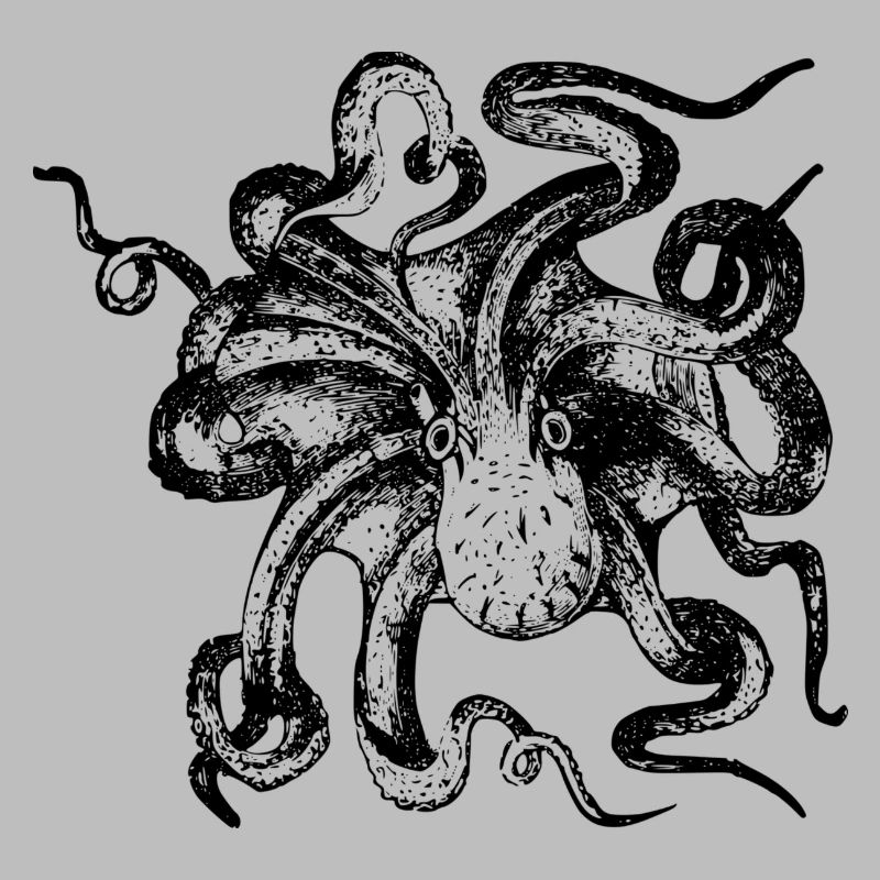 octopus