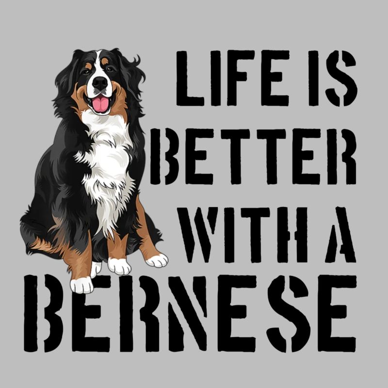 Bouvier bernois