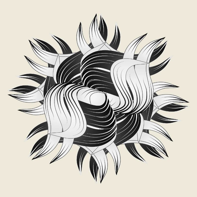 Abstract Shapes – Dynamic Black & White Design