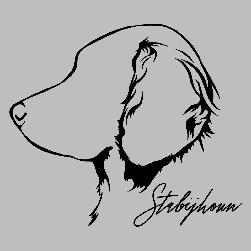 Stabijhoun Profil Chiens Chien Wilsigns