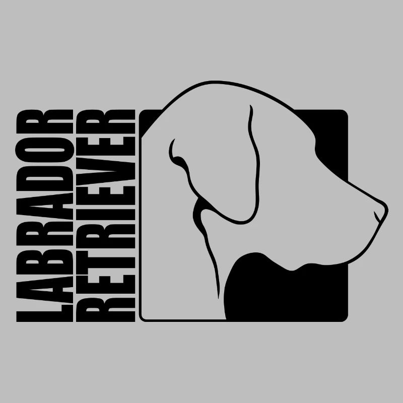 Labrador Retriever Profil Labbi Hunde Wilsigns