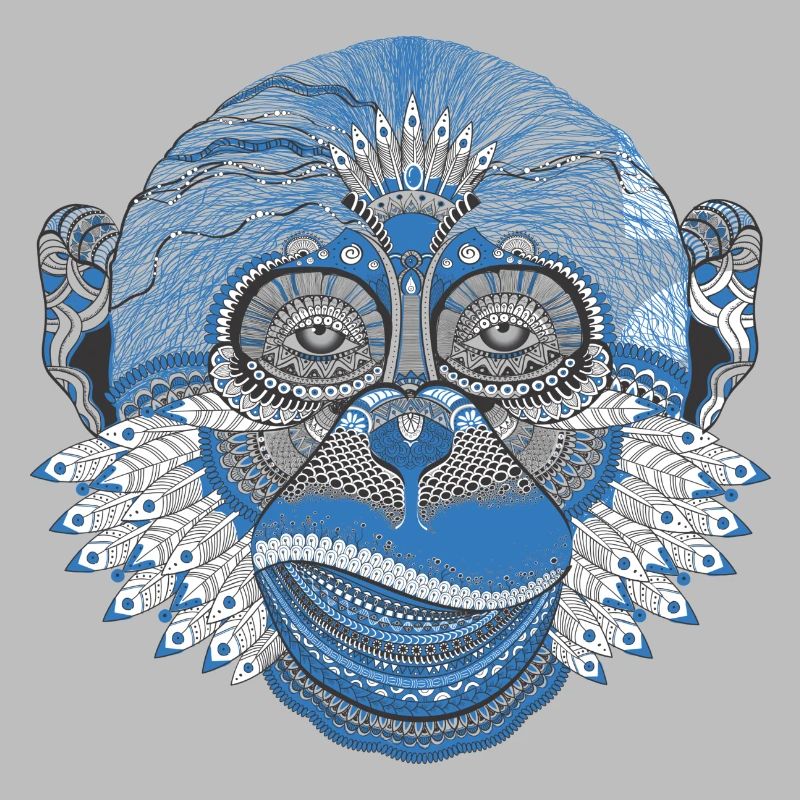 Indian monkey