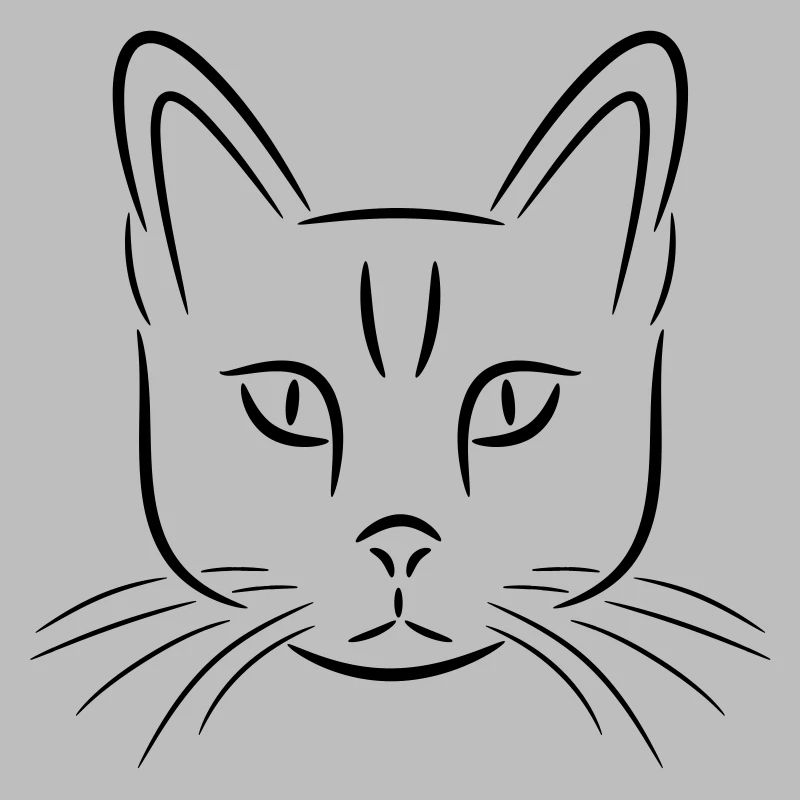 Katze