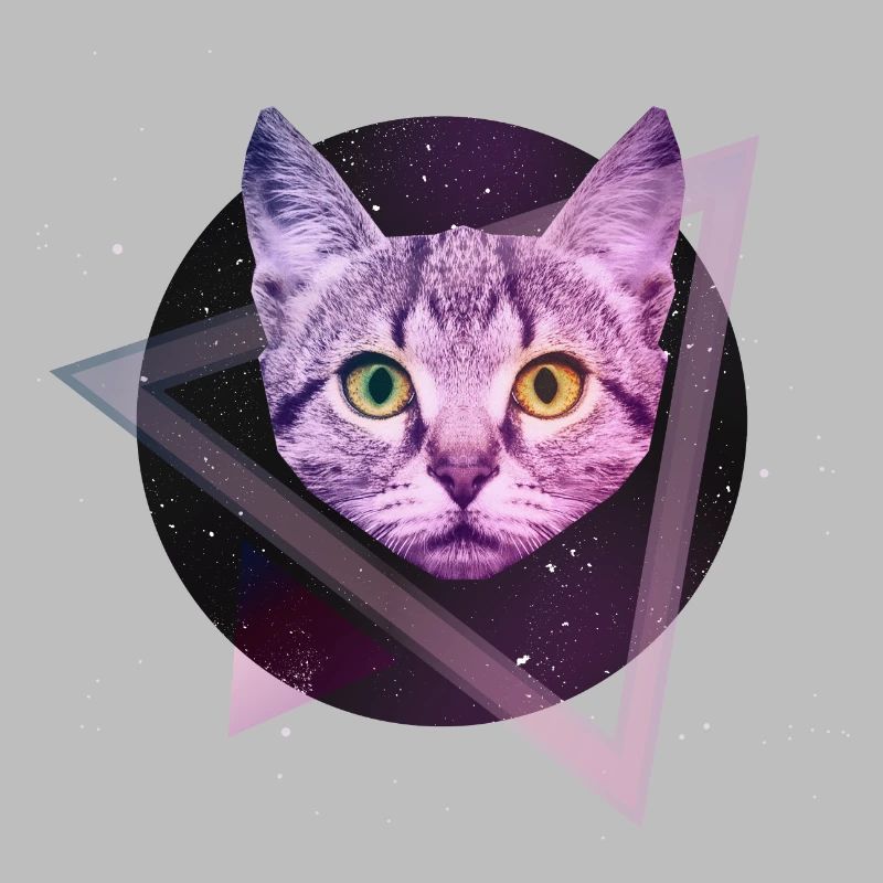 Chat de l'espace