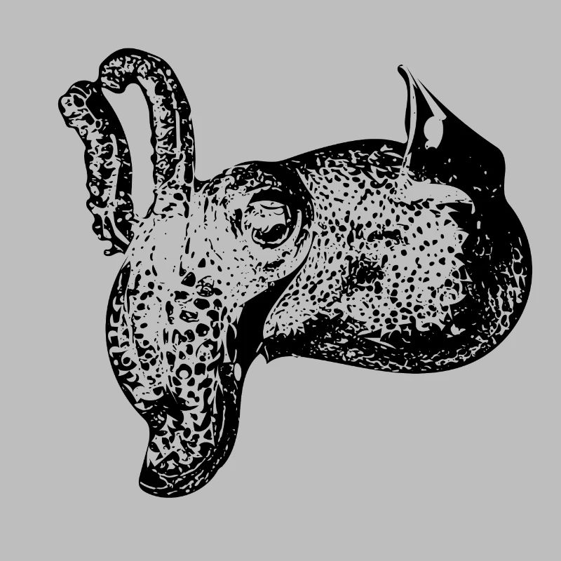 Vintage Cuttlefish