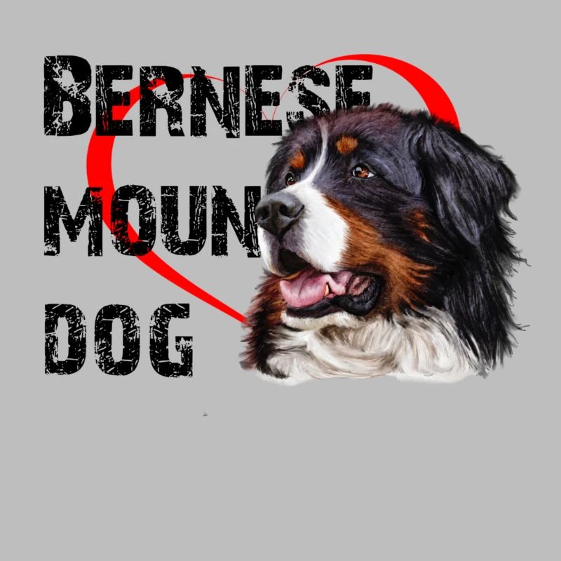 Bernese mountain dog