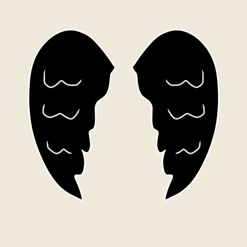 Two Wings Angel Symbol Devil
