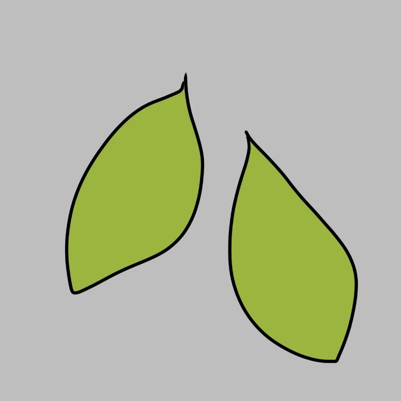 zwei blätter blatt symbol