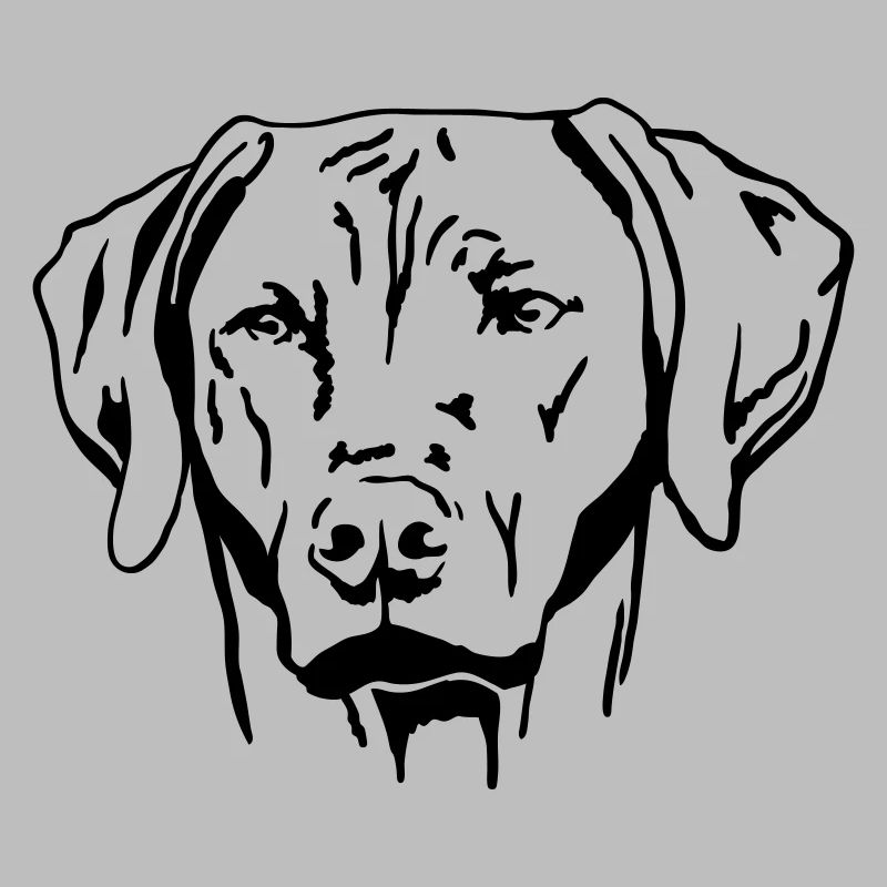 Rhodesian Ridgeback