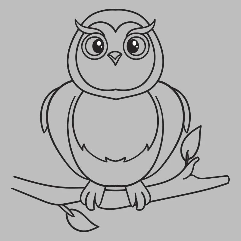 Eule, Vogel, Geschenk, Geschenkidee