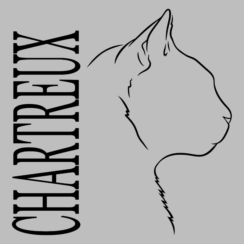Chartreux Profil Chat Chats Wilsigns