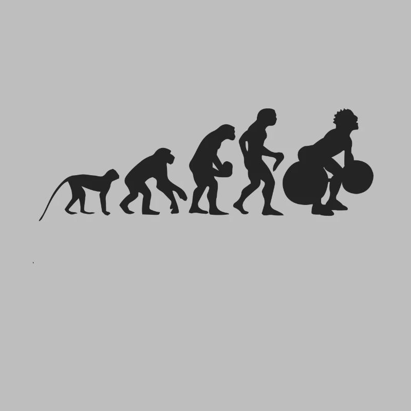 Evolution Gewichtheben