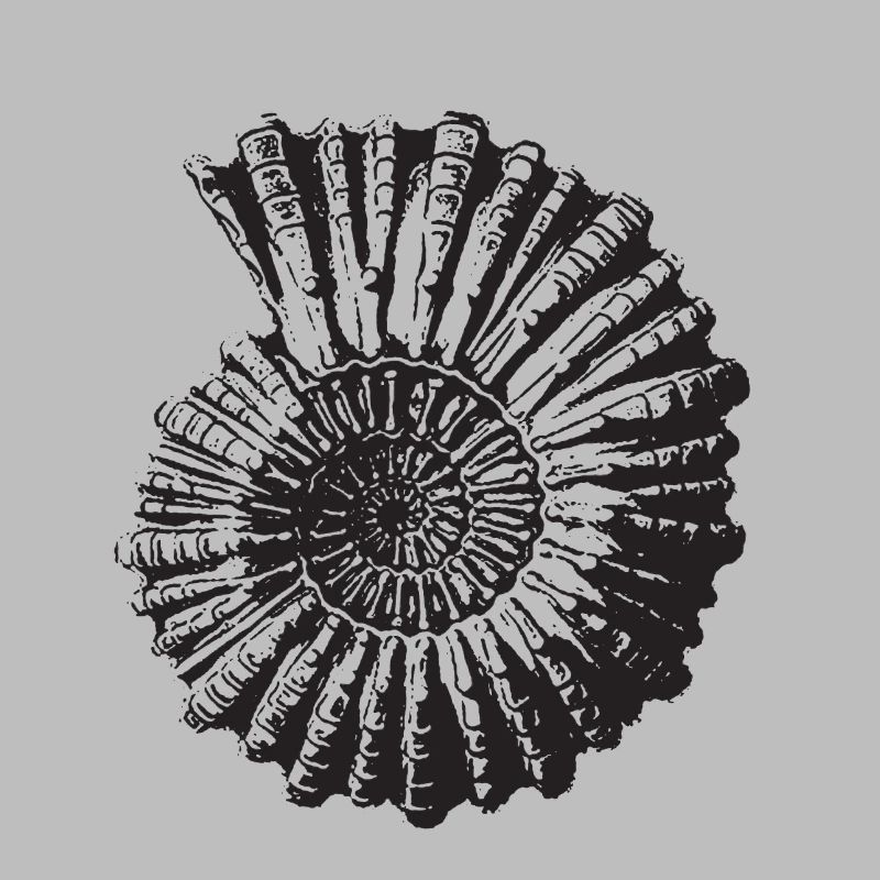 Escargot de pierre rétro