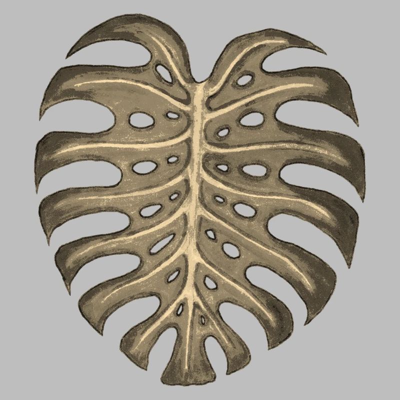 Monstera