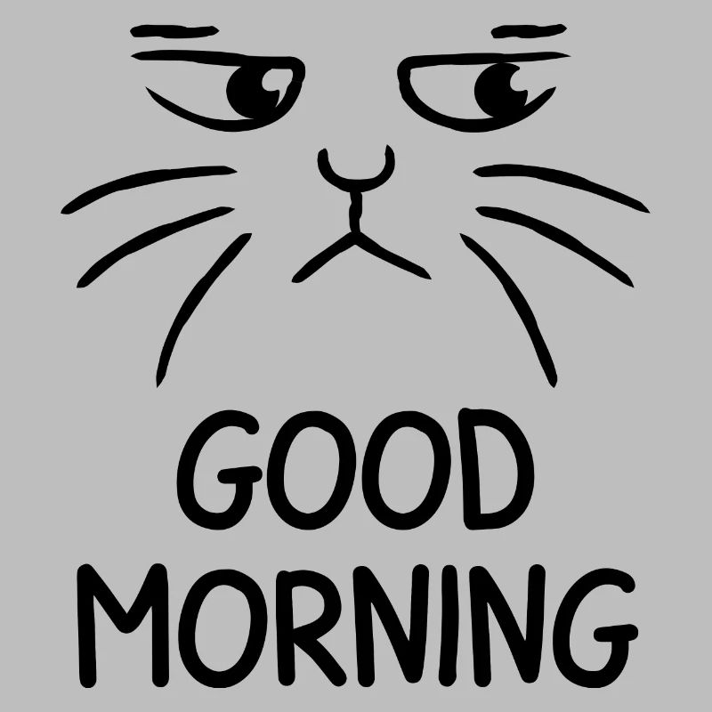 Good Morning cat grumpy katze
