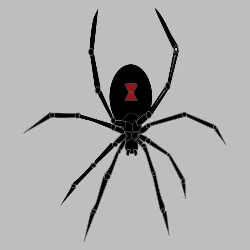 spid 26