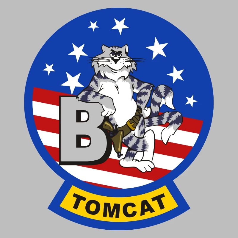 Tomcat F-14 B