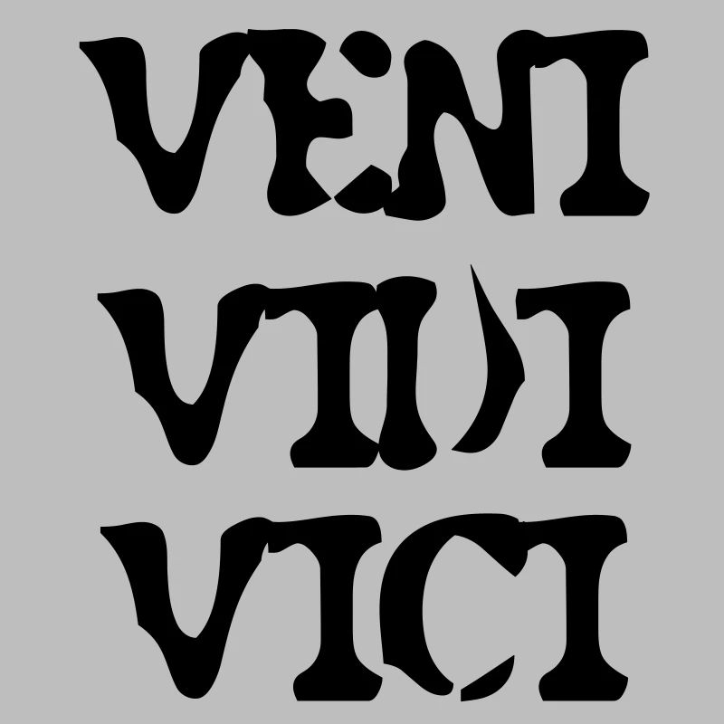 Veni Vidi Vici !