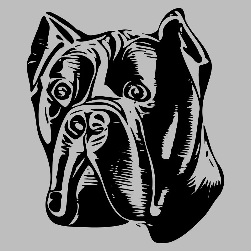 Cane corso