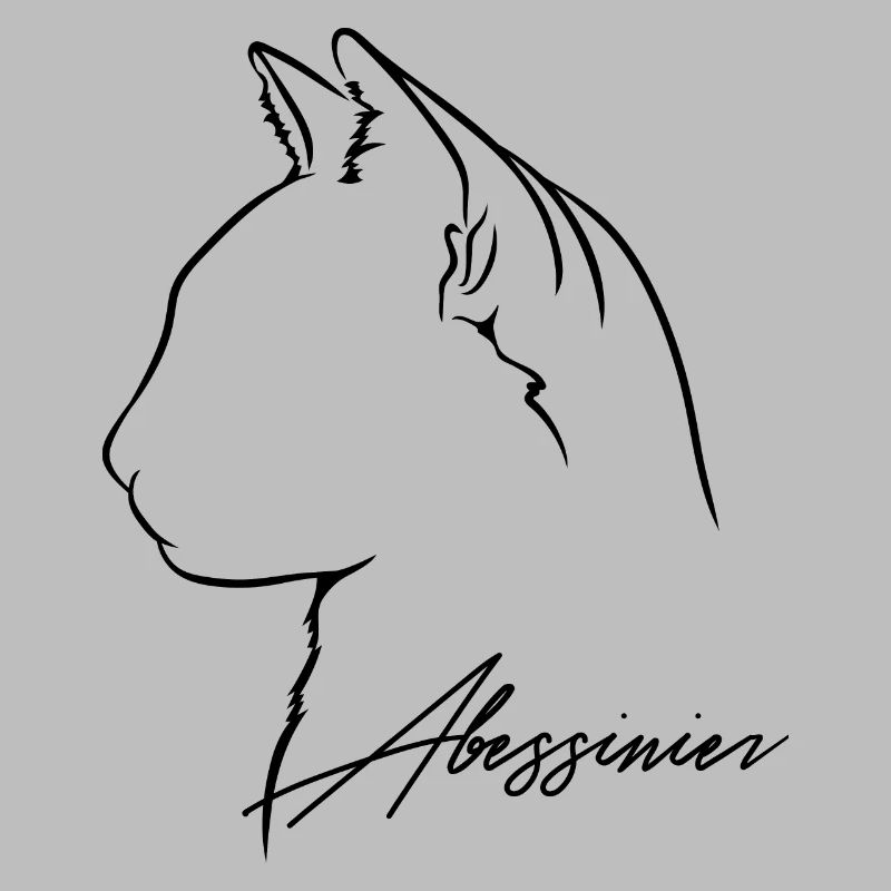 Abessinier Profil Katzen Katze Wilsigns