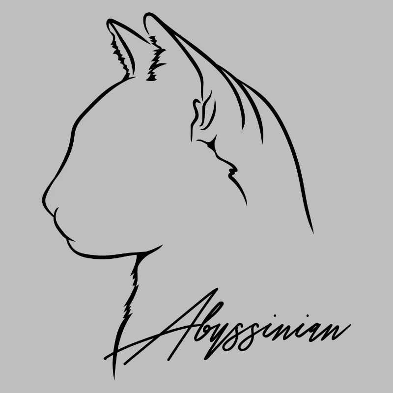Profil Abyssin Chats Chat Wilsigns