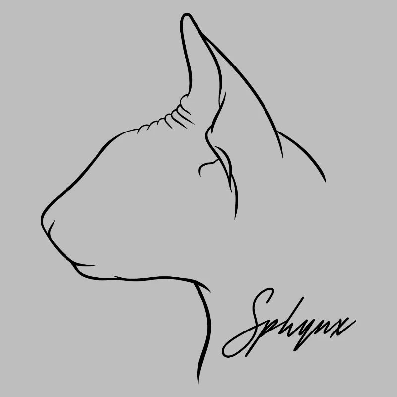 Profil Sphynx Chat Chat Wilsigns