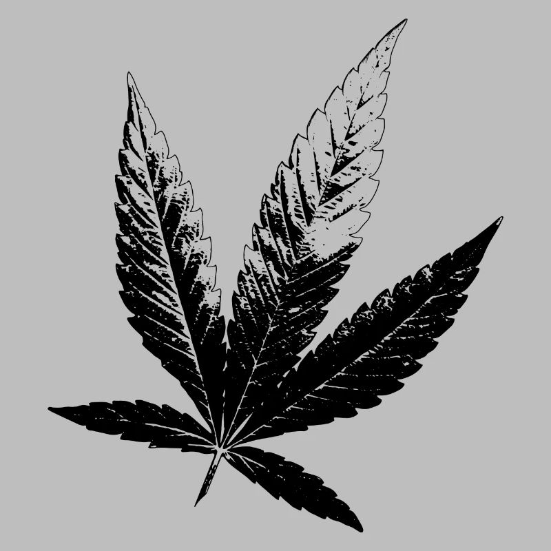Cannabis Hanf Blatt