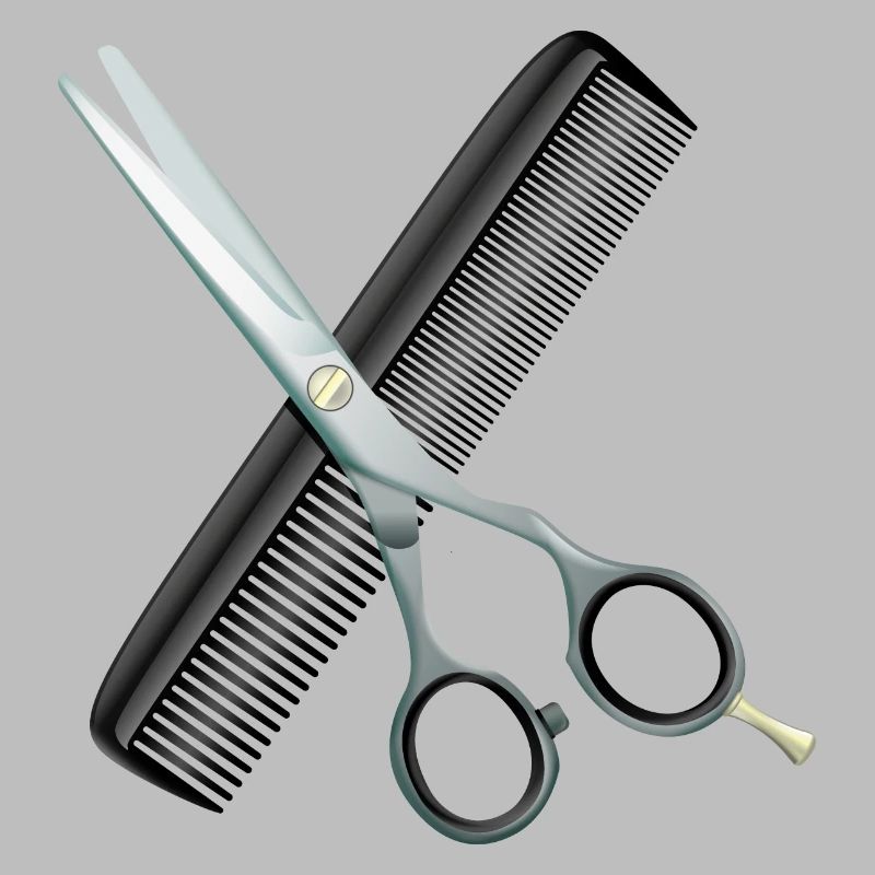 Ciseaux de coiffure avec peigne