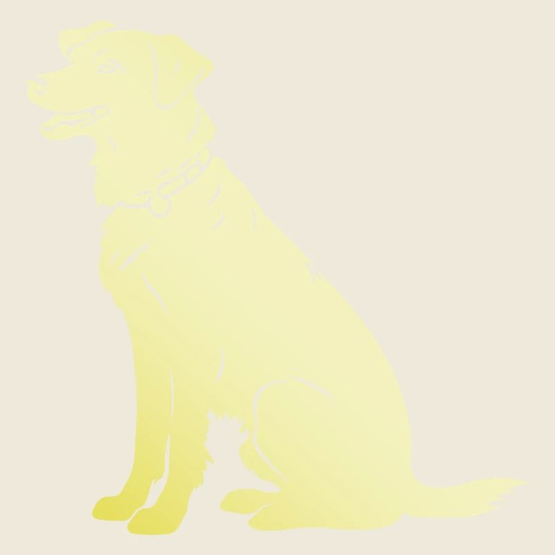 Border Collie Silhouette Chien