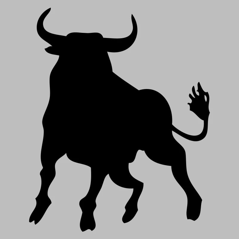 toro_lenshirt