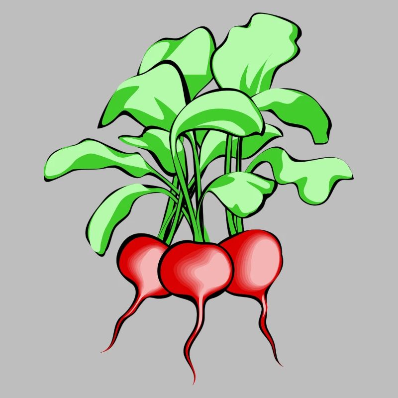 Radieschen. Geschenkidee