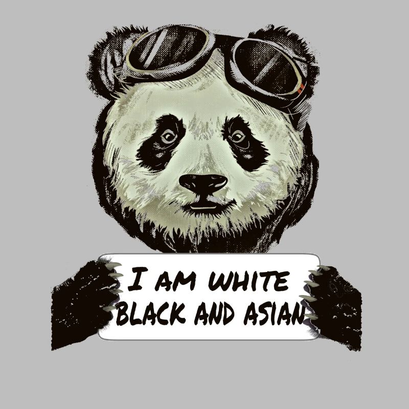 Cool Pilote Panda