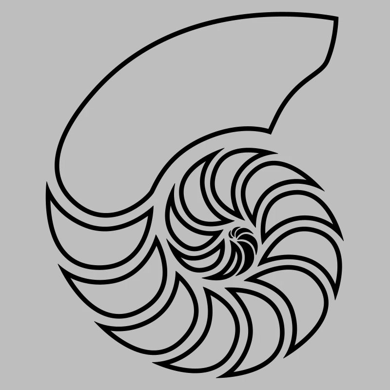Nautilus Spirale Shell