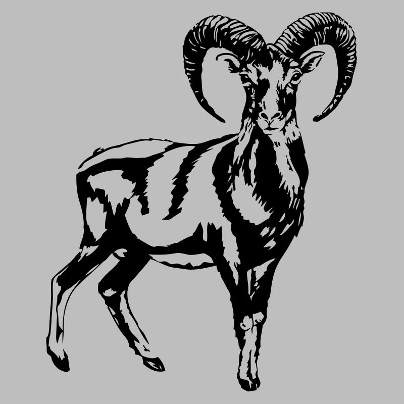 Mufflon