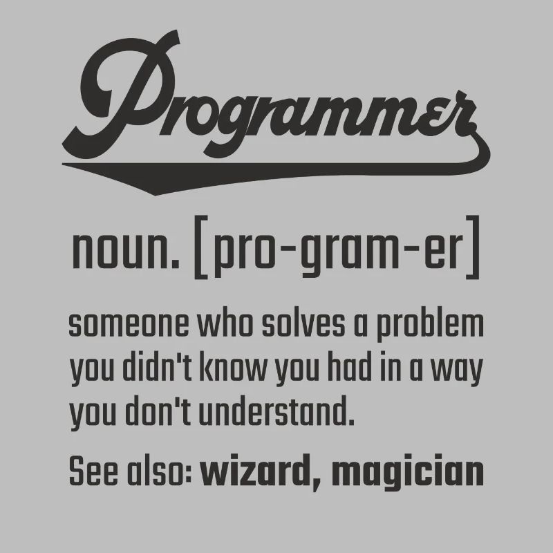 Programmer programmer noun noun definition