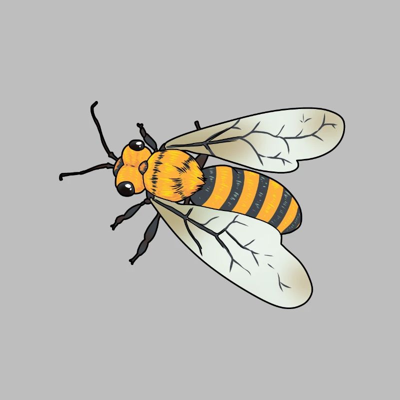 Bee Insect Insect Wasp Ecology Honey Beekeeper