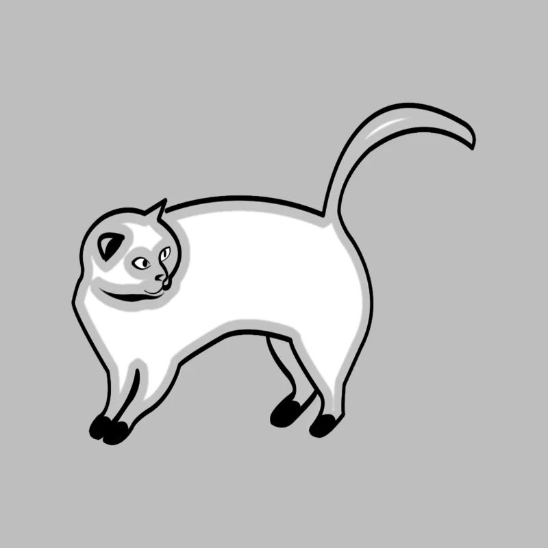 chat